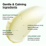 ANUA Heartleaf LHA Moisture Peeling Gel (120ml) - Fanxi Life