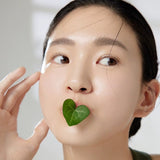 Goodal Heartleaf Calming Moisture Toner (300ml) - Fanxi Life
