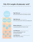 TORRIDEN Dive - In Low Molecular Hyaluronic Acid Soothing Cream (100ml) - Fanxi Life