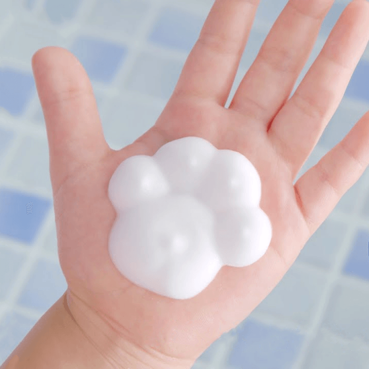 KAO Bioré Foaming Hand Soap (240ml) - Fanxi Life