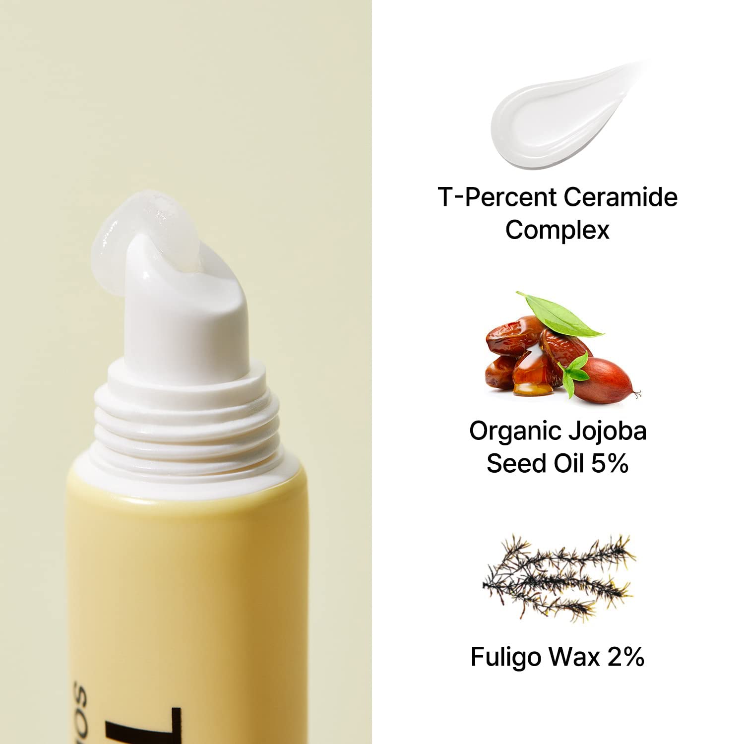 TORRIDEN SOLID - IN Ceramide Lip Essence (11ml) - Fanxi Life
